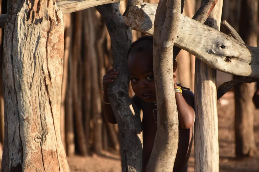 zdjęcie ilustracyjne/Pixabay