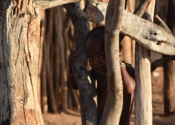 zdjęcie ilustracyjne/Pixabay