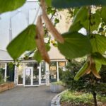 fot. Aurelia Adaszyńska