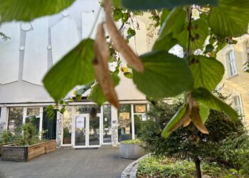 fot. Aurelia Adaszyńska