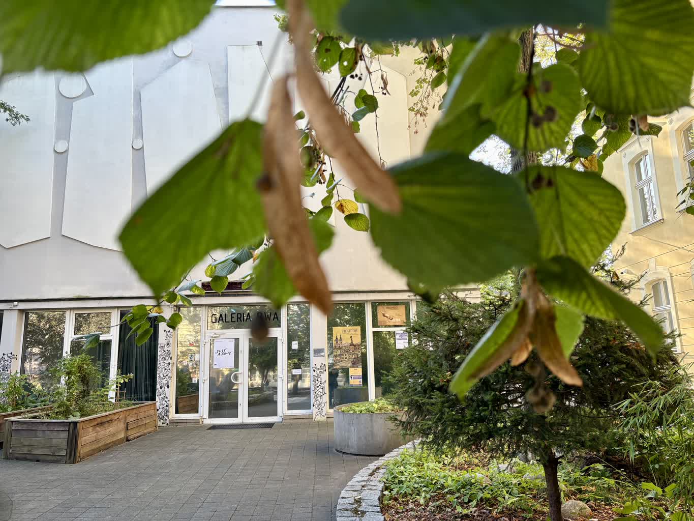 Dan Perjovschi w BWA