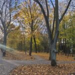 Marzena Wróbel-Szała Radio Zachód - Lubuskie