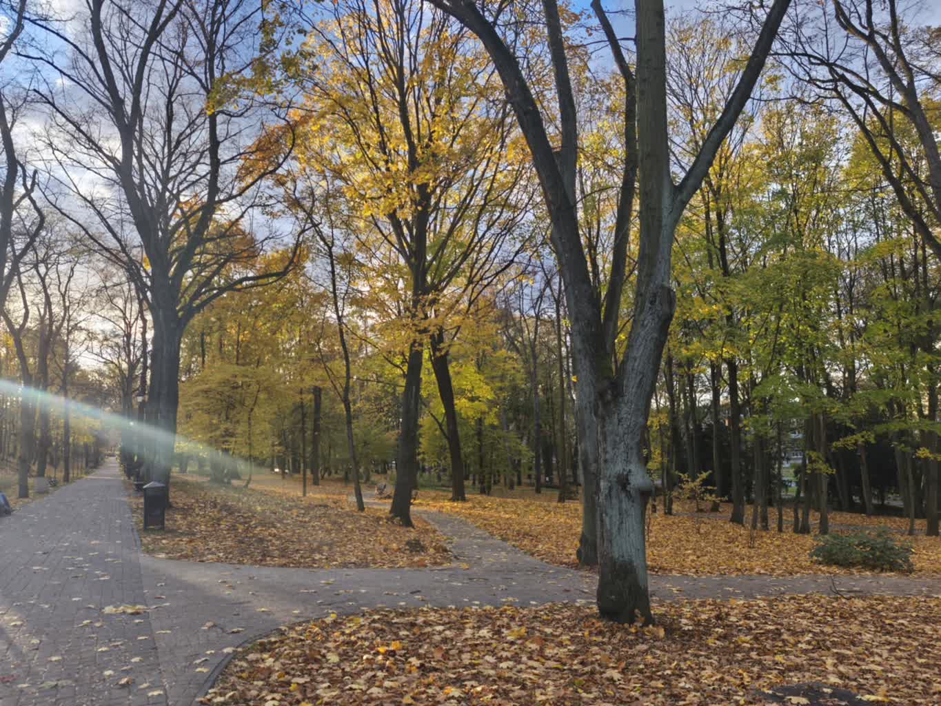 Lapidarium – Skarby Zielonej Góry #65