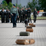 fot. Krzysztof Filmanowicz