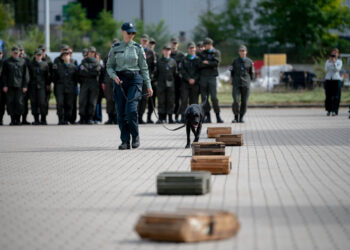 fot. Krzysztof Filmanowicz