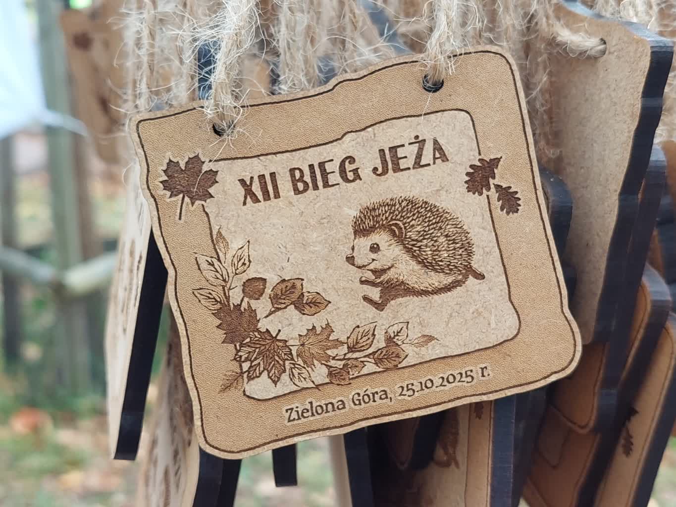 XII edycja Biegu Jeża w Zielonej Górze [ZDJĘCIA]