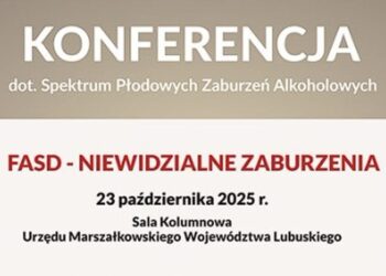 materiał organizatorów