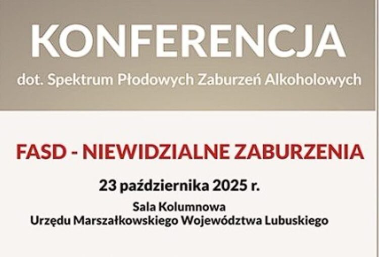 materiał organizatorów