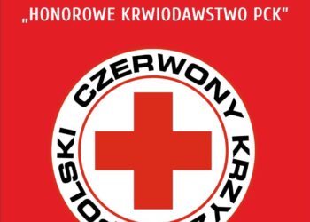 materiały organizatora