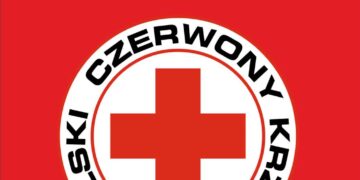 materiały organizatora