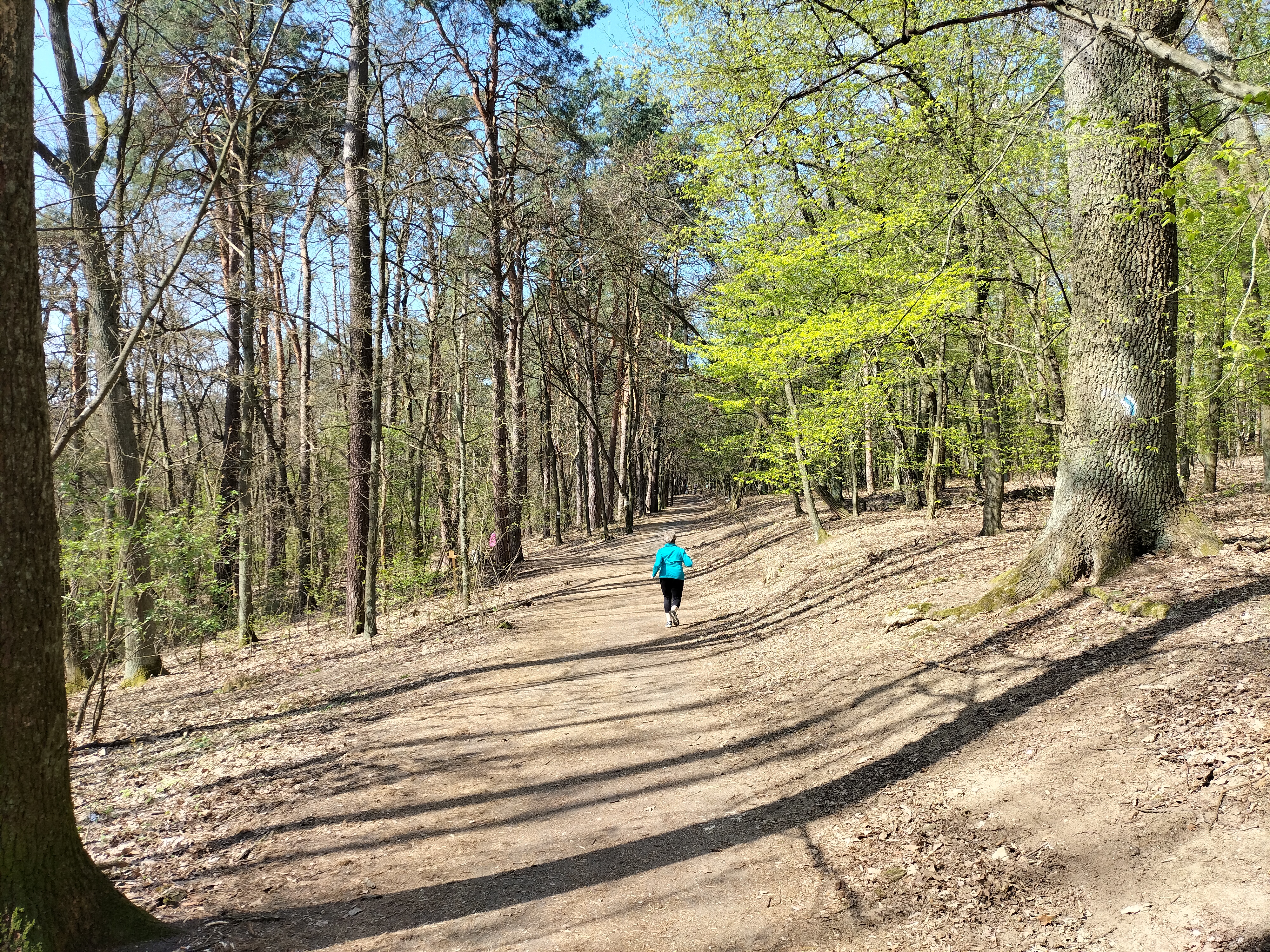 W weekend charytatywny bieg po Wzgórzach Piastowskich