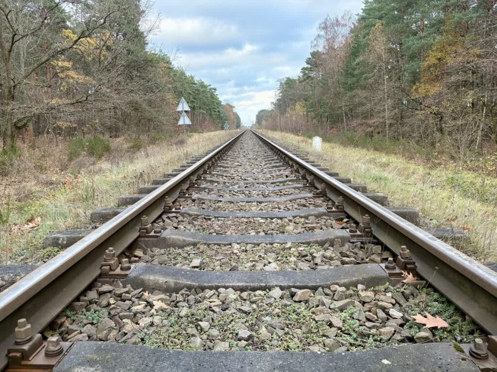 fot. Aurelia Adaszyńska