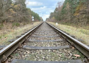 fot. Aurelia Adaszyńska