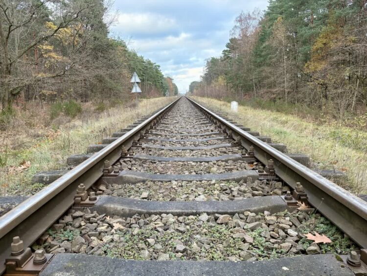 fot. Aurelia Adaszyńska