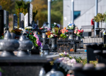 fot. Krzysztof Filmanowicz