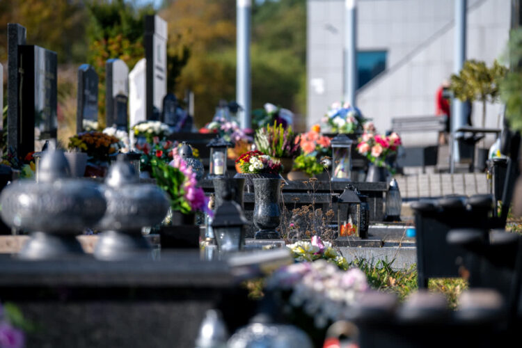 fot. Krzysztof Filmanowicz