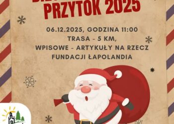 materiały organizatora