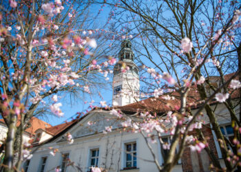 fot. Krzysztof Filmanowicz