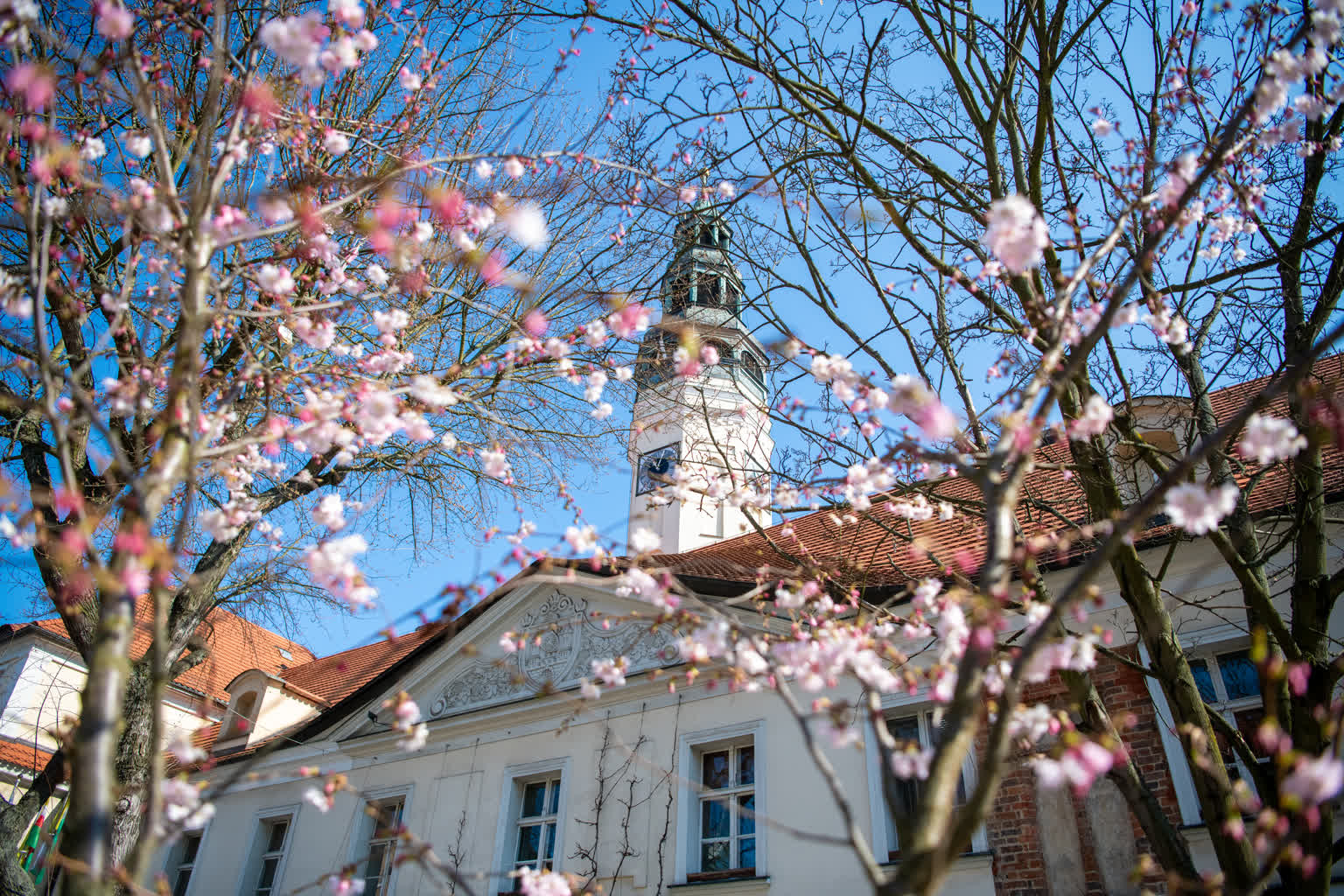 Plan ogólny dla Zielonej Góry: dyżury projektantów