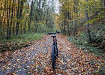 źródło: elements.envato.com