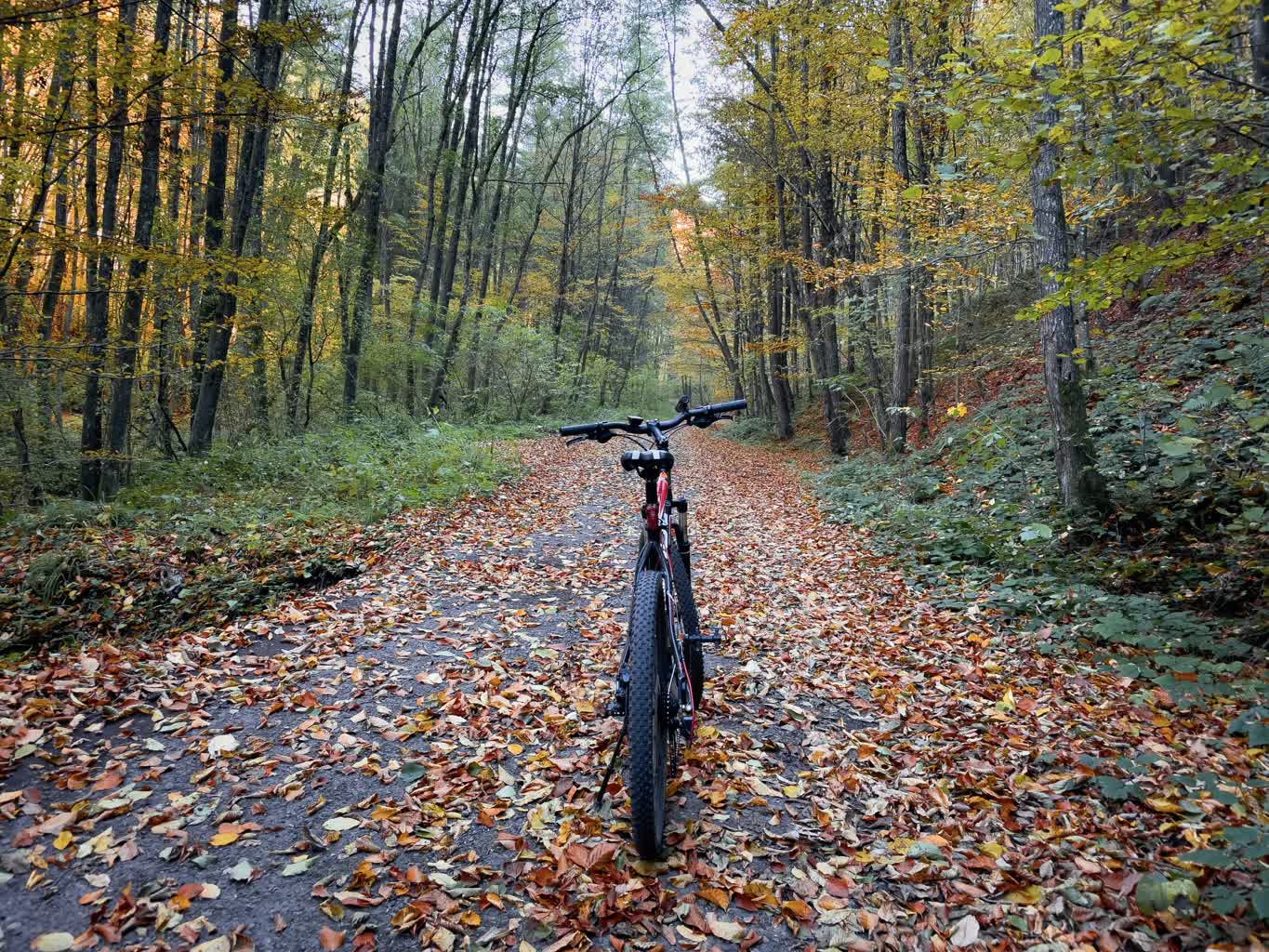 2Kółka: kolarskie porady na jesień