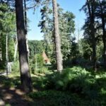 Marzena Wróbel-Szała Radio Zachód - Lubuskie