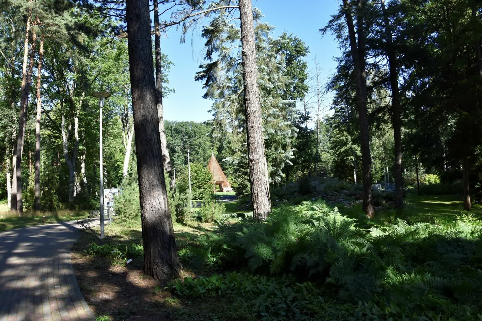 Ogród Botaniczny – Skarby Zielonej Góry #67