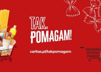 materiał organizatorów