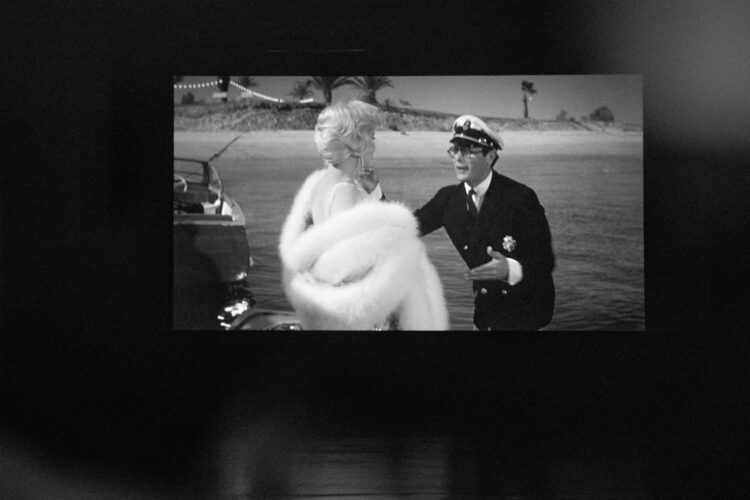 fot: Krzysztof Filmanowicz