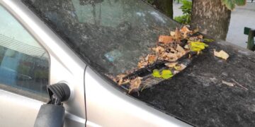 fot: M.Poniedziałek