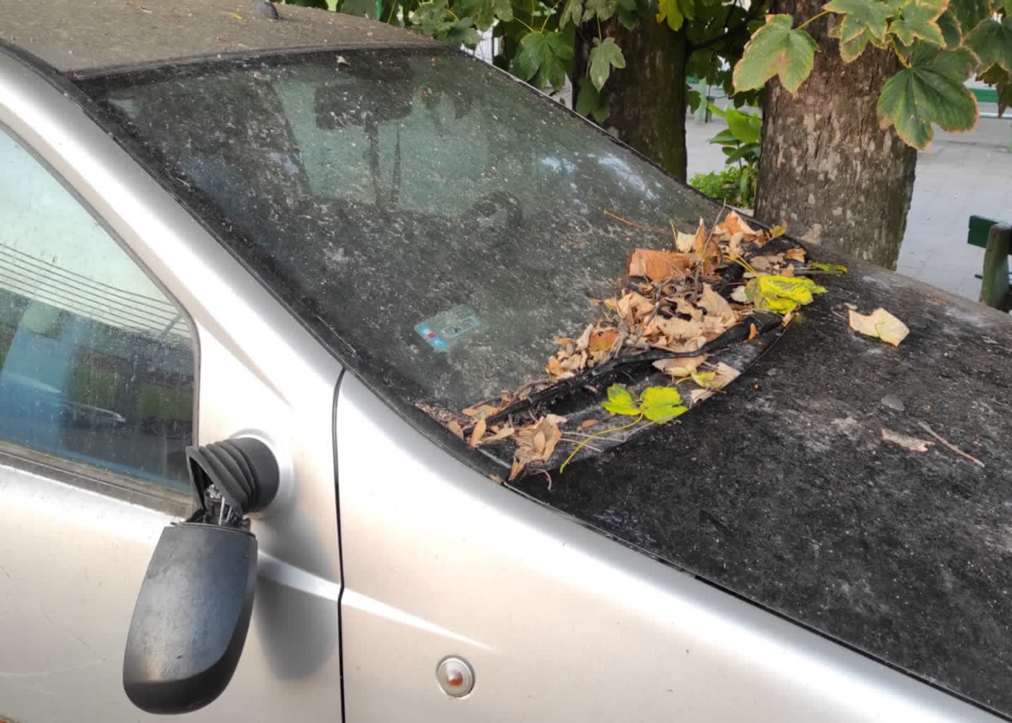 Zmiana opłat za usunięcie i przechowywanie samochodów na parkingu miejskim