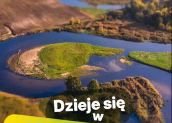 materiały prasowe organizatora