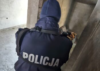 fot. KMP w Zielonej Górze