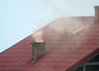 zdjęcie ilustracyjne/Pixabay