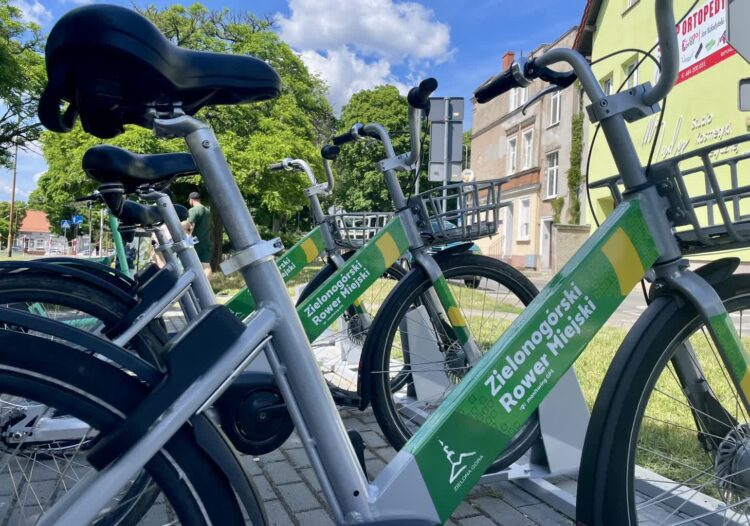 archiwum RZG. Fot: A.Adaszyńska