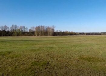 fot. Krzysztof Filmanowicz