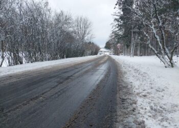 fot. Przemysław Kozubaj