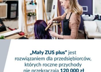 grafika: Zakład Ubezpieczeń Społecznych