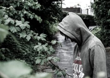 zdjęcie ilustracyjne/Pixabay