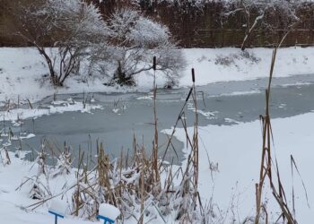 archiwum: fot. P.Kozubaj