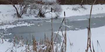 archiwum: fot. P.Kozubaj