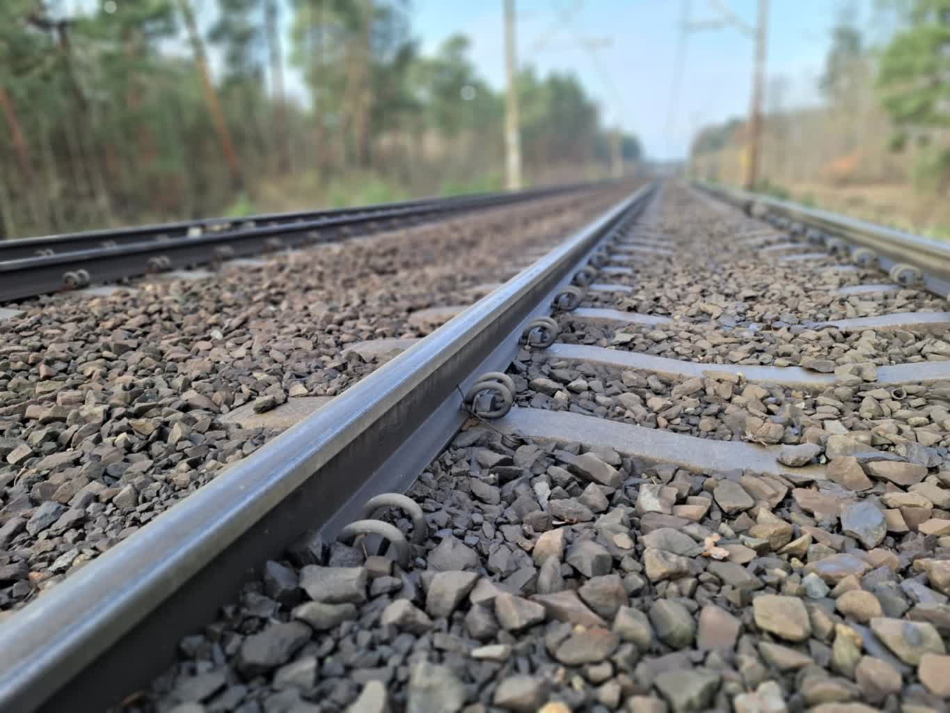 T. Winiecki: SKALT – nowe rozdanie