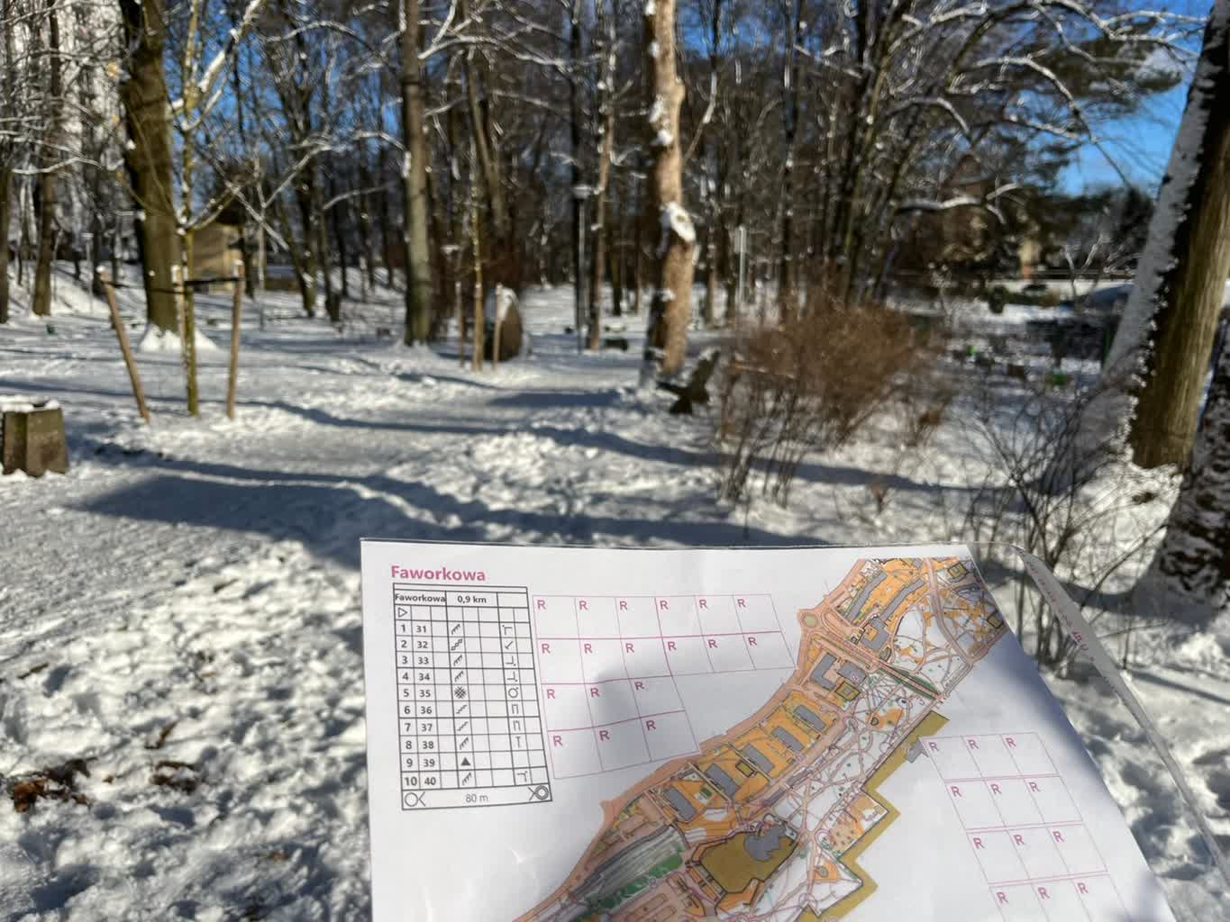 Trening orientacji w Parku Piastowskim