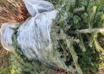 fot. ZGK Zielona Góra/Facebook