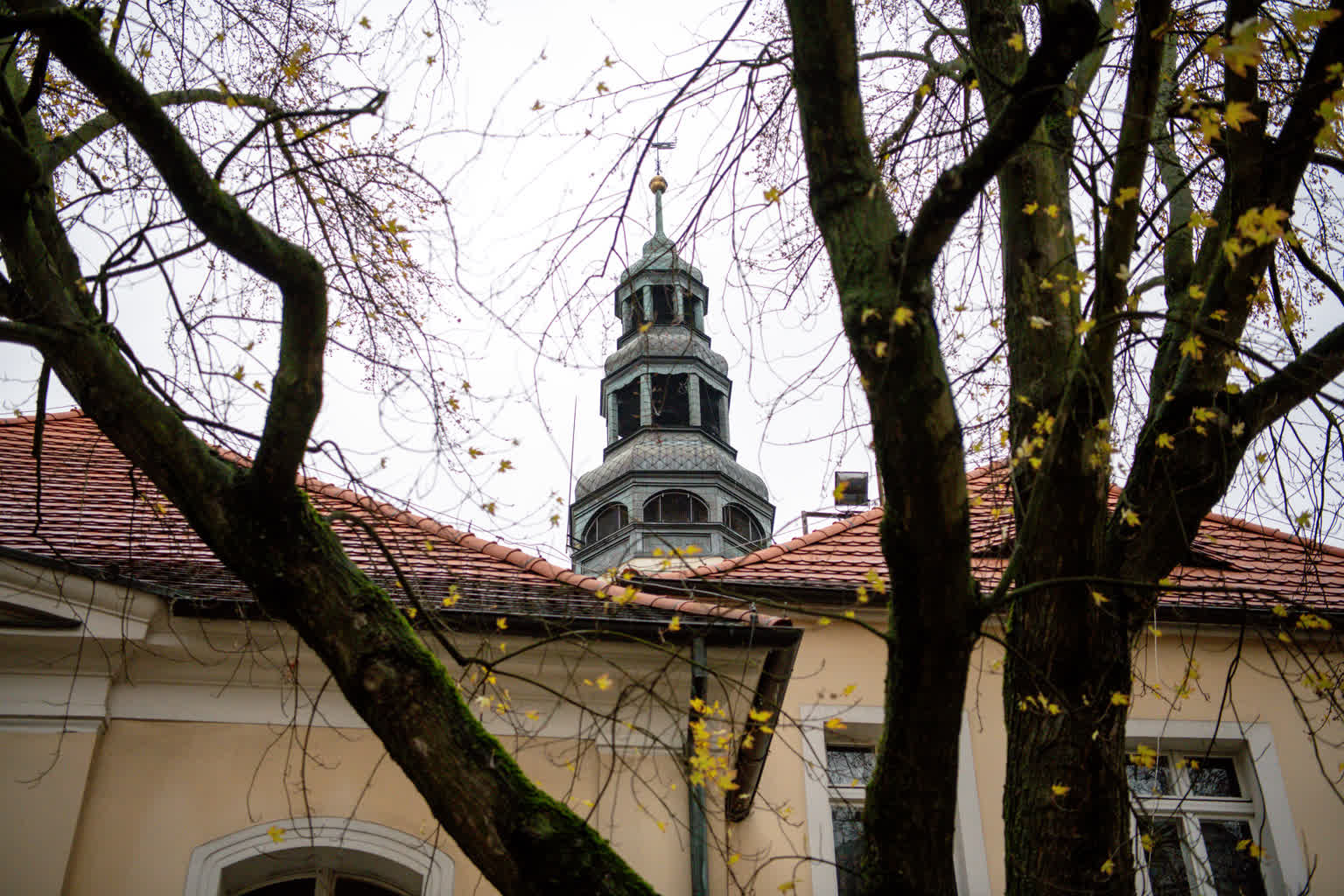 8 stycznia dyżur Zielonogórskiej Rady Seniorów