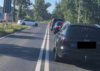 archiwum RZG fot: B.Schaefer