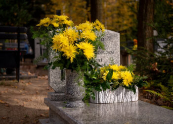 Fot. Krzysztof Filmanowicz