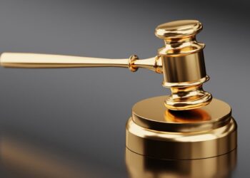 zdjęcie ilustracyjne/Pixabay