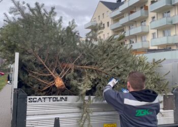 fot. Bartosz Schaefer