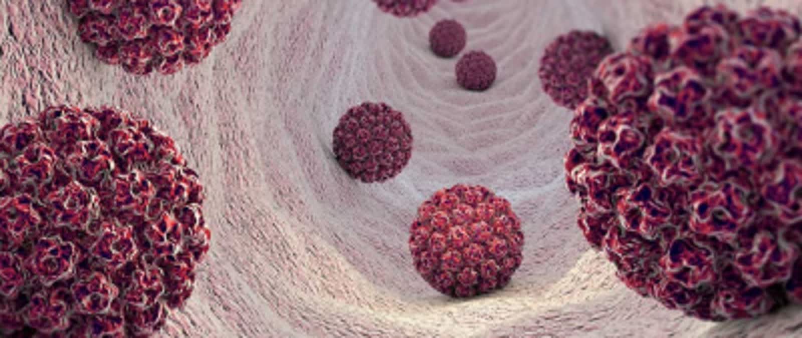 Szpital Uniwersytecki zachęca do badań profilaktycznych w kierunku wirusa HPV